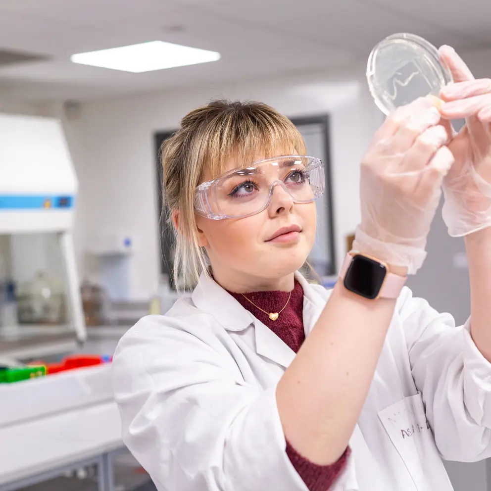 Animal Lab University