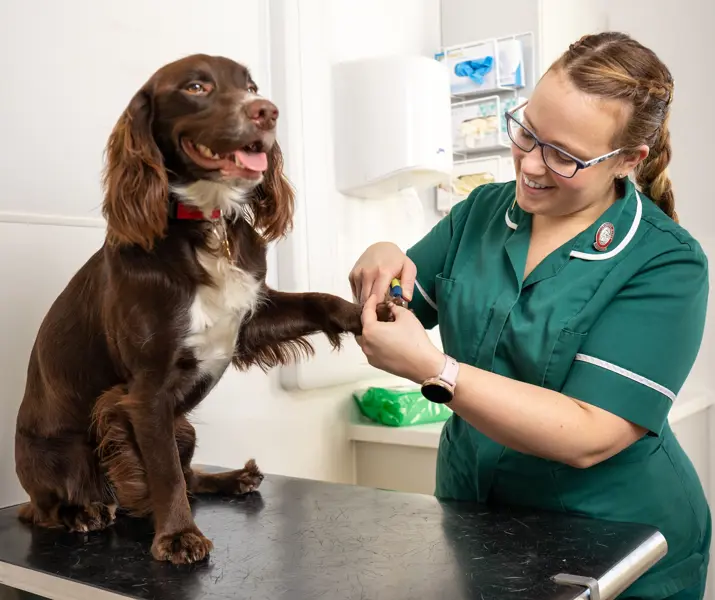 Hartpury University Veterinary Nursing