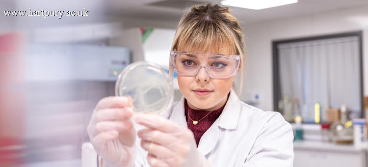 Level 3 Extended Diploma Equine Management Science