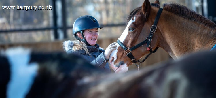 Postgraduate Certificate Equine Behaviour And Welfare