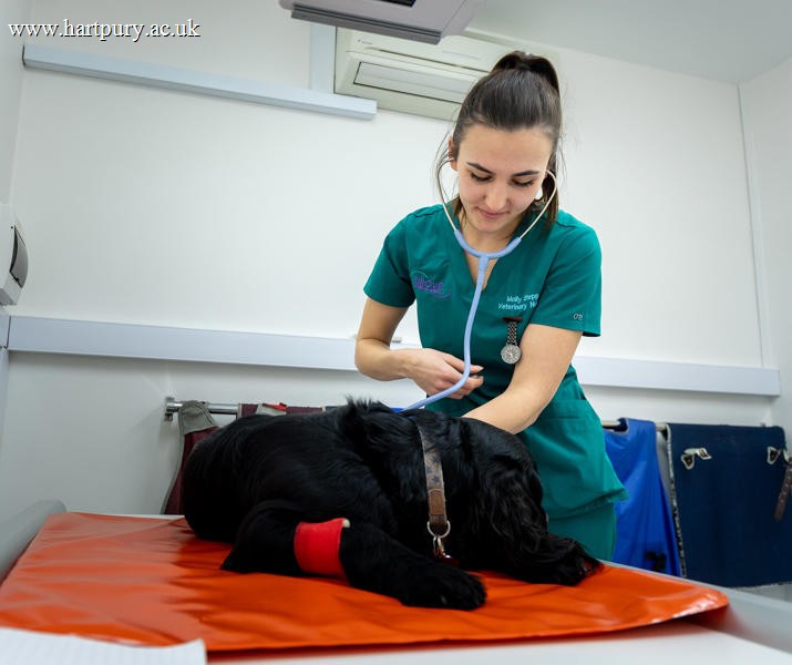 Veterinary Nursing Banner Hartpury
